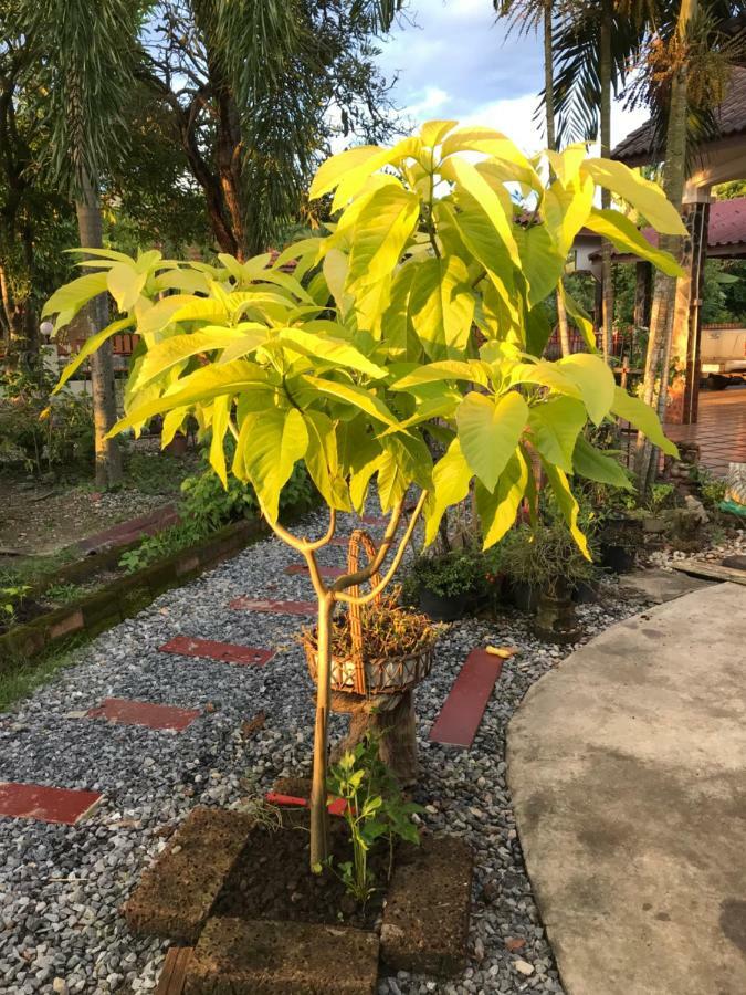 Grandma'S House Leilighet Nakhon Nayok Eksteriør bilde